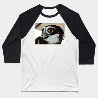 Spectacle Owl Baseball T-Shirt